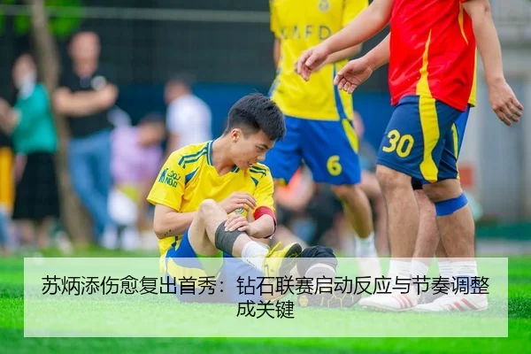 su-bing-tian-shang-yu-fu-chu-shou-xiu-zuan-shi-lian-sai-qi-dong-fan-ying-yu-jie-zou-tiao-zheng-cheng-guan-jian-2-115.jpg