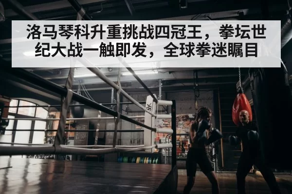 boxer training